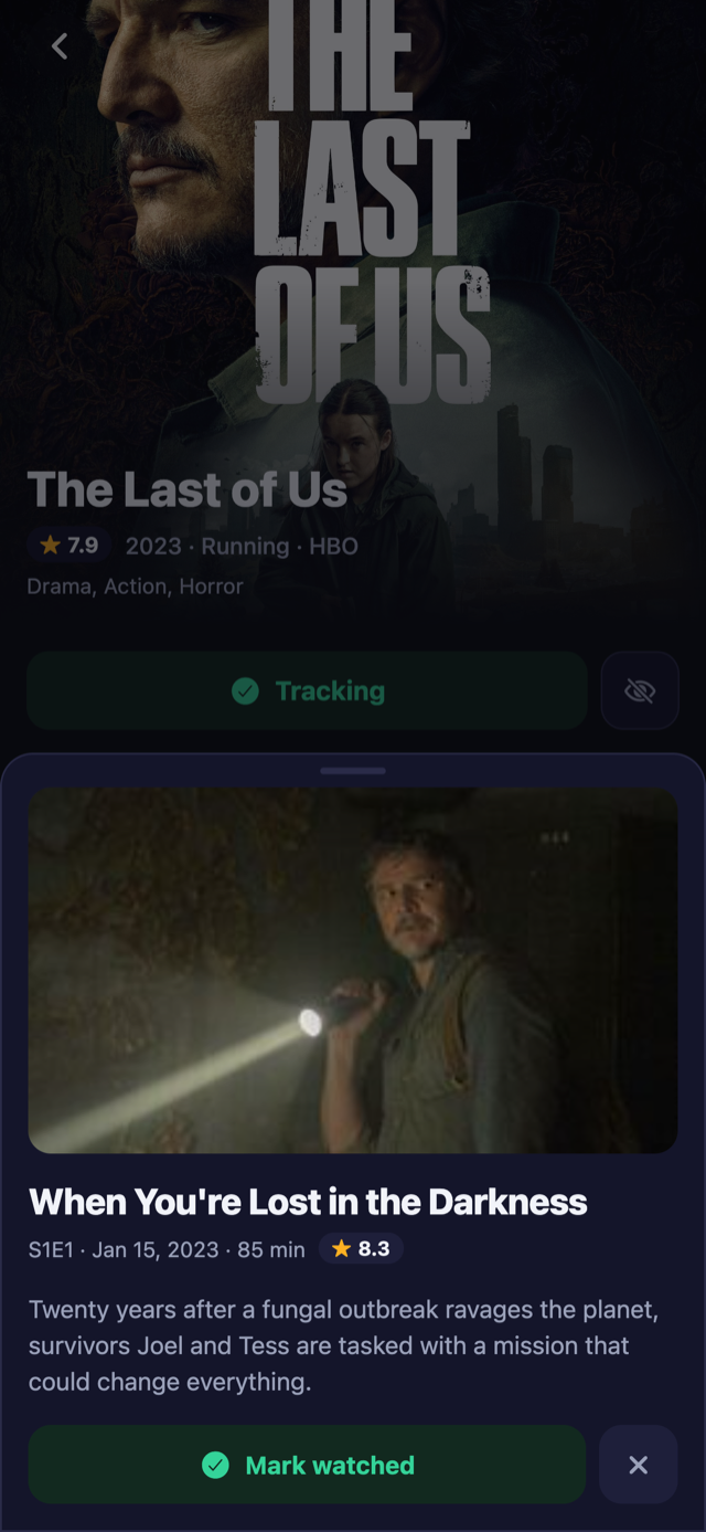 Episode sheet showing the summary, rating and a mark watched button